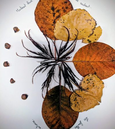 Visuel_photo-Caroline-Chevalier-Galant