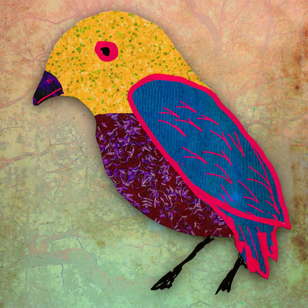 Affiche_atelier_COnf des oiseaux